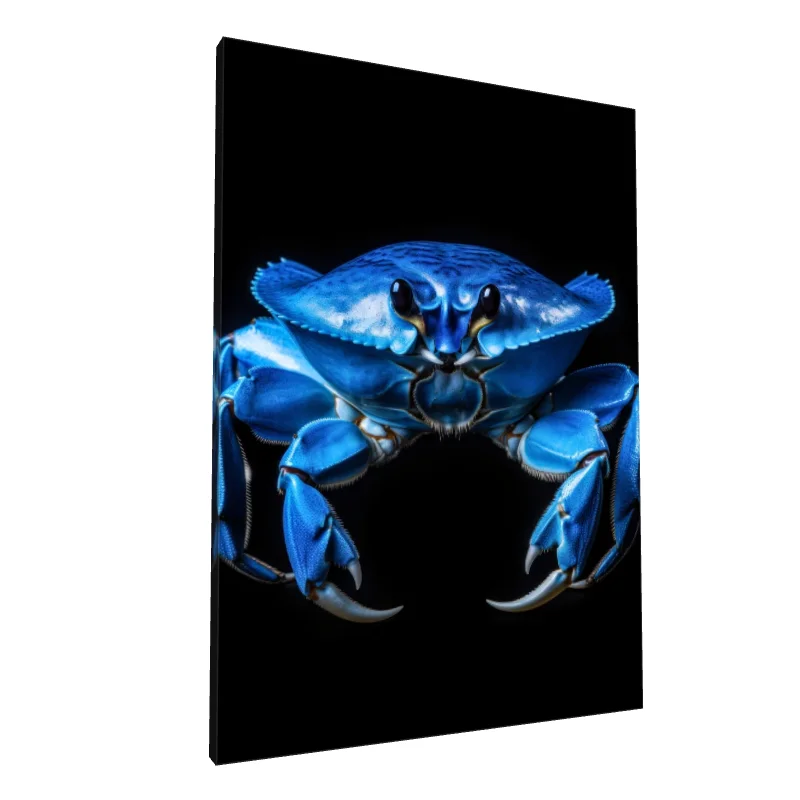 Tablou canvas: Crab Albastru pe Fundal Negru