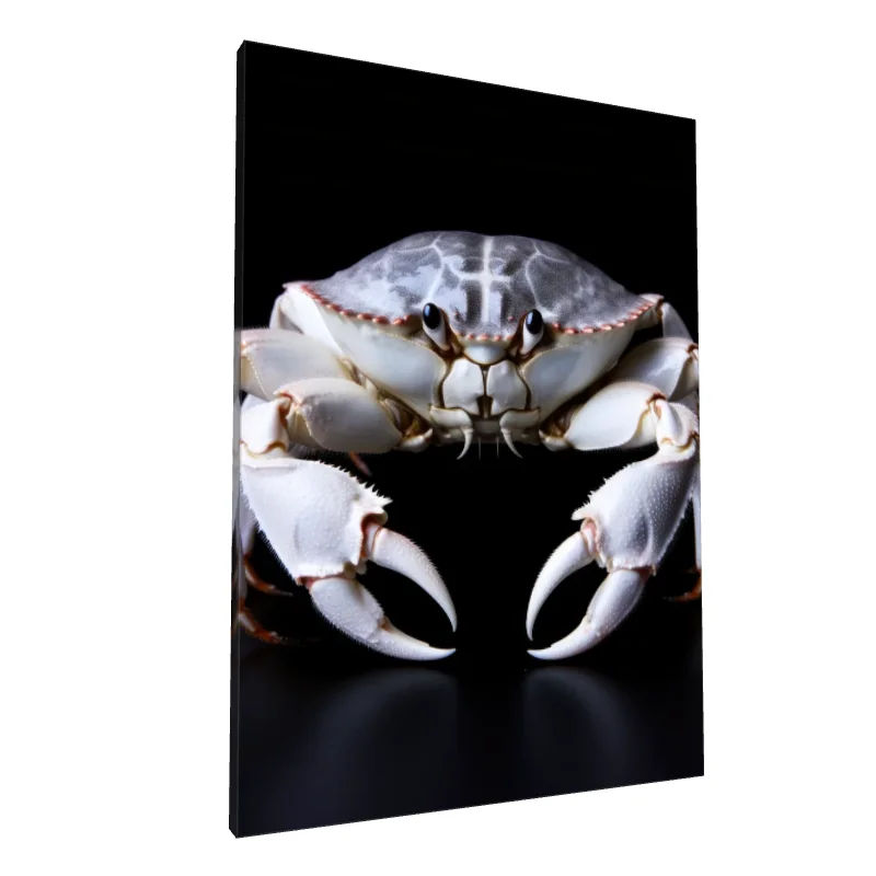 Tablou canvas: Crab Realist pe Fundal Negru 2