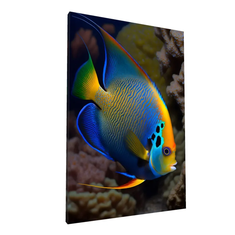 Tablou canvas: Pește Angelic cu Culori Vibrante