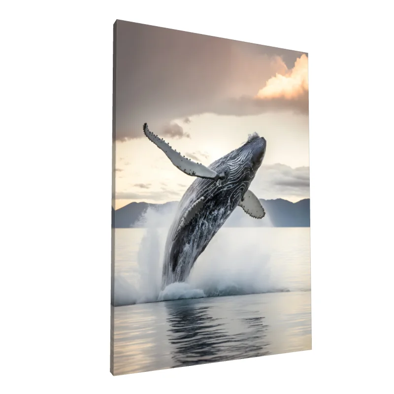 Tablou canvas: Balena Humpback în Săritură la Apus