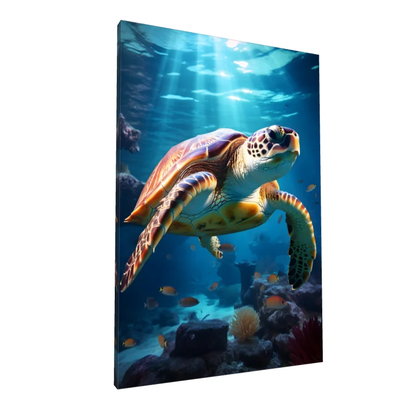 Tablou canvas: Broască Țestoasă Sub Soarele Oceanului