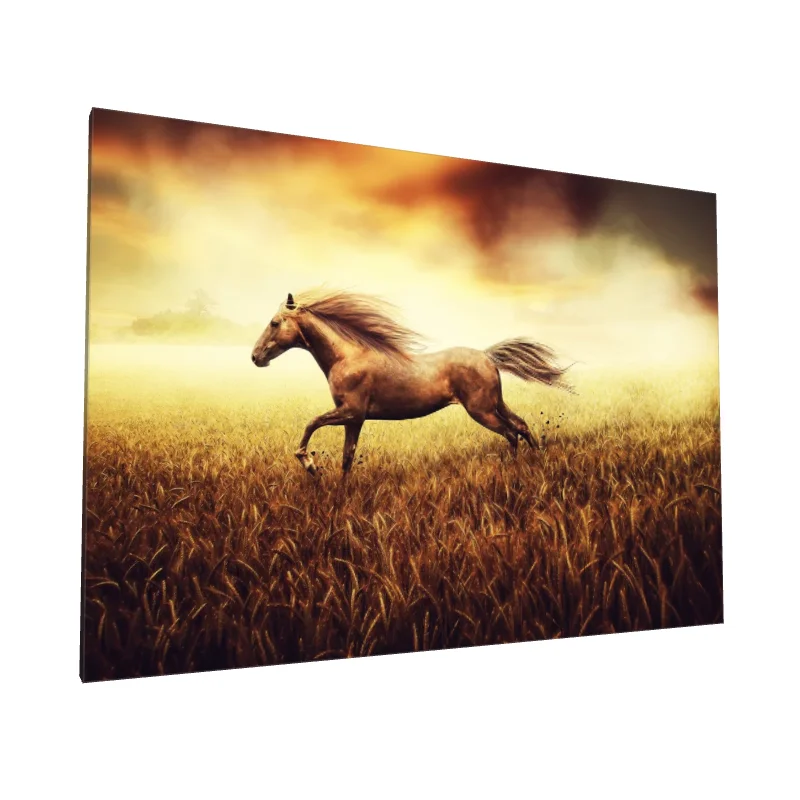 Tablou canvas: Cal Galopând la Răsărit - Image 1
