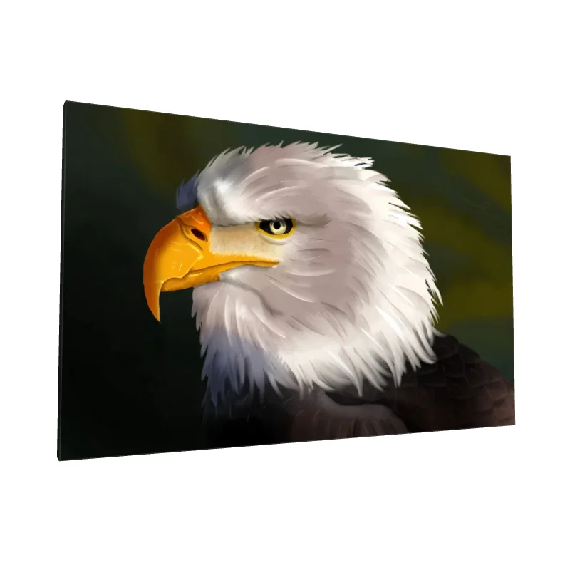 Tablou canvas: Portret Vultur cu Cioc Galben - Image 1