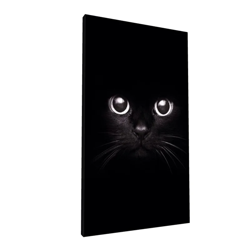 Tablou canvas: Portret de Pisică Neagră în Contrast - Image 1