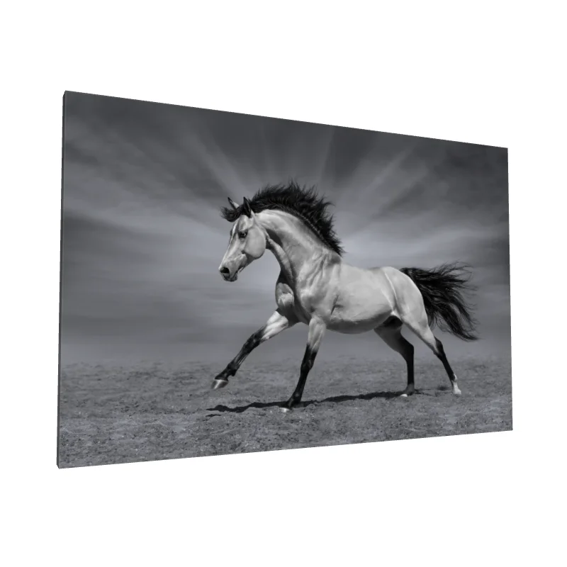 Tablou canvas: Cal în Mișcare pe Fundal Monocrom - Image 1