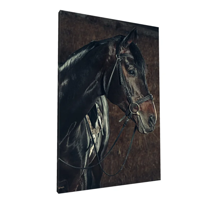 Tablou canvas: Portret Realist de Cal Nobil - Image 1