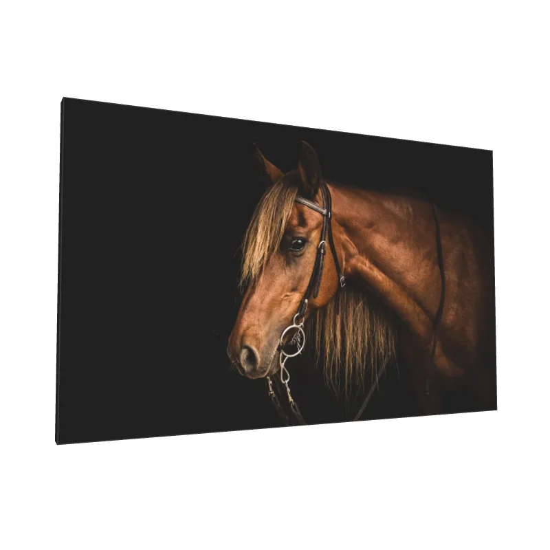 Tablou canvas: Portret Cal în Lumina Caldă