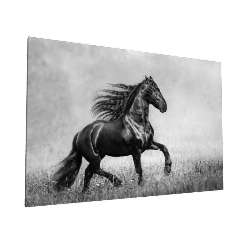 Tablou canvas: Cal Negru în Mișcare Elegantă - Image 1