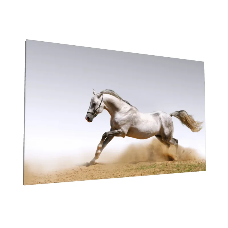 Tablou canvas: Cal Alb în Mișcare pe Fundal Deschis - Image 1