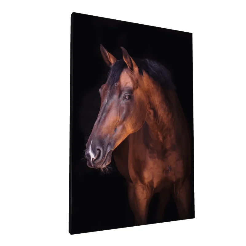 Tablou canvas: Portret Realist de Cal în Lumina Caldă - Image 1