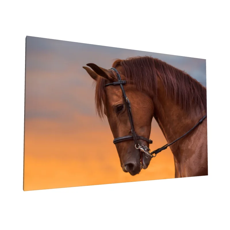 Tablou canvas: Portret Cal la Apus - Image 1