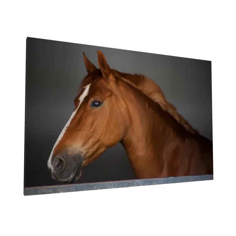 Tablou canvas: Portret Realist Cal în Profil - Image 1