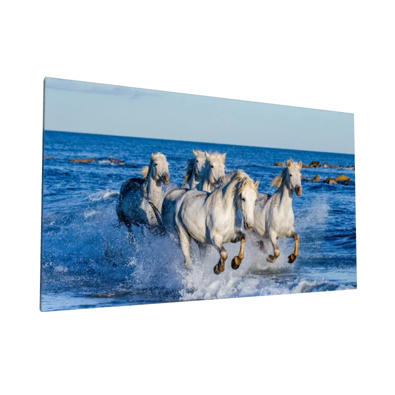 Tablou canvas: Cai Albi Galopând prin Apă
