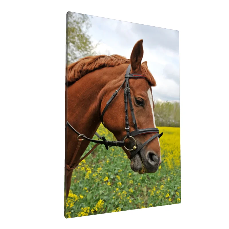 Tablou canvas: Portret de Cal în Peisaj Floral - Image 1