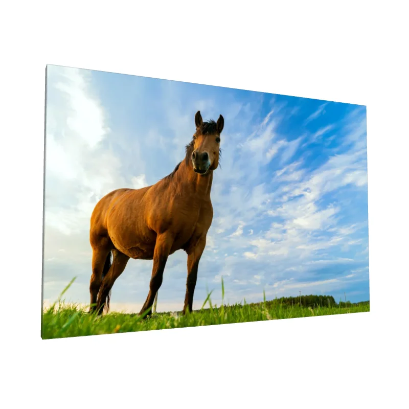 Tablou canvas: Cal în Peisaj Sub Cer Albastru - Image 1