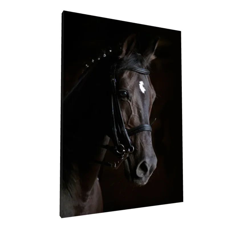 Tablou canvas: Portret de Cal în Lumină și Umbre