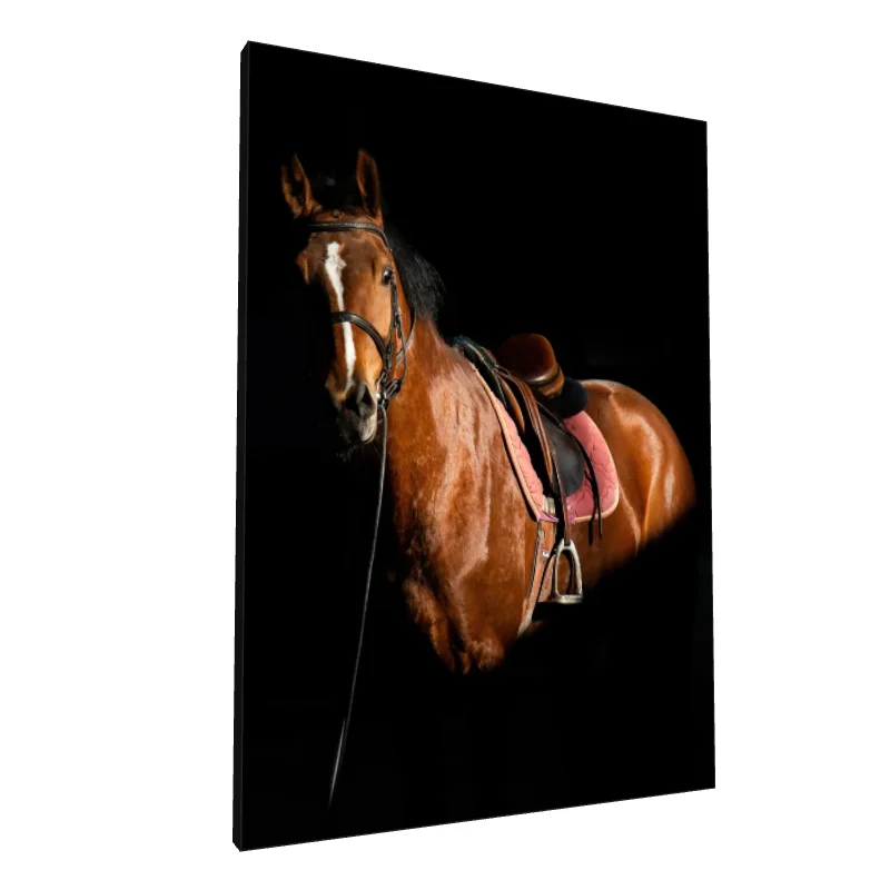 Tablou canvas: Portret de Cal Maro în Contrast Întunecat - Image 1