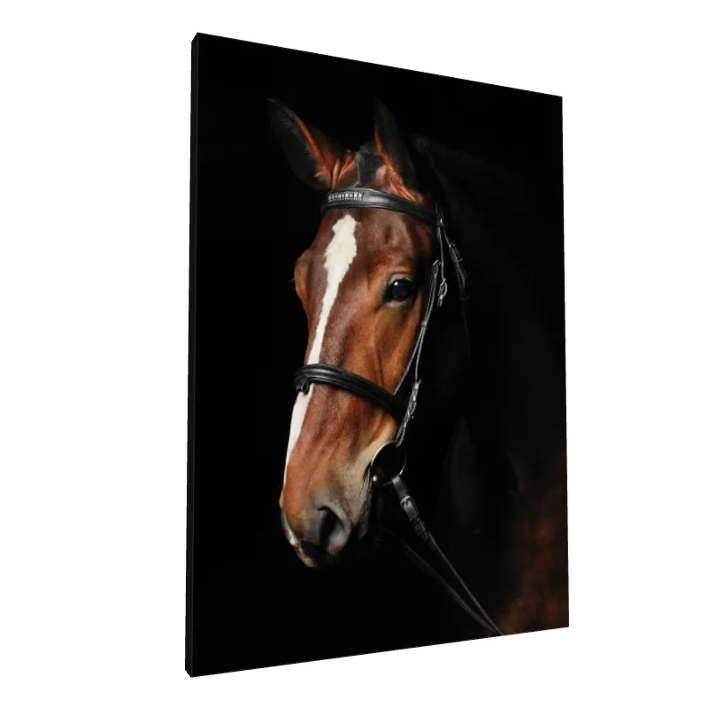 Tablou canvas: Portret Realist de Cal pe Fundal Negru 3 - Image 1