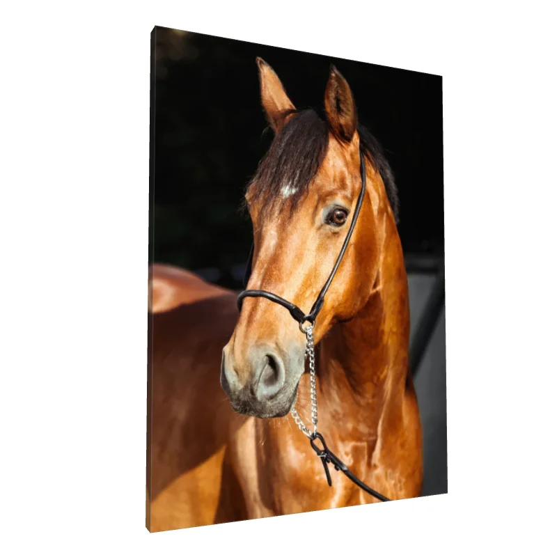 Tablou canvas: Portret Realist de Cal Maro