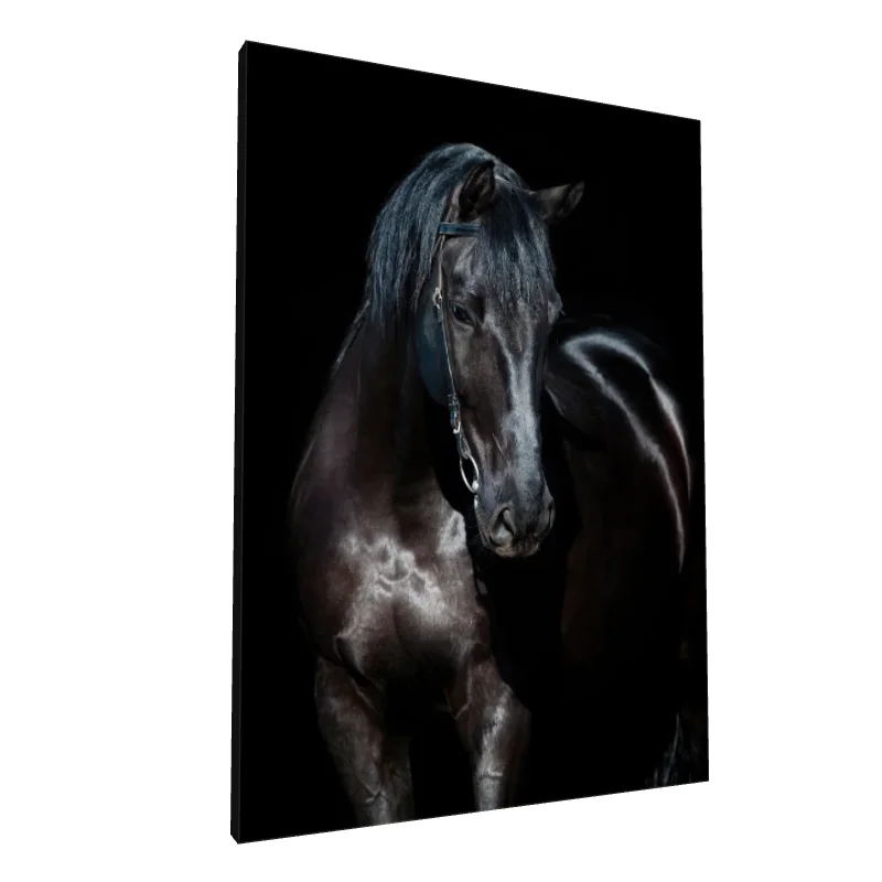 Tablou canvas: Portret Realist de Cal Negru - Image 1