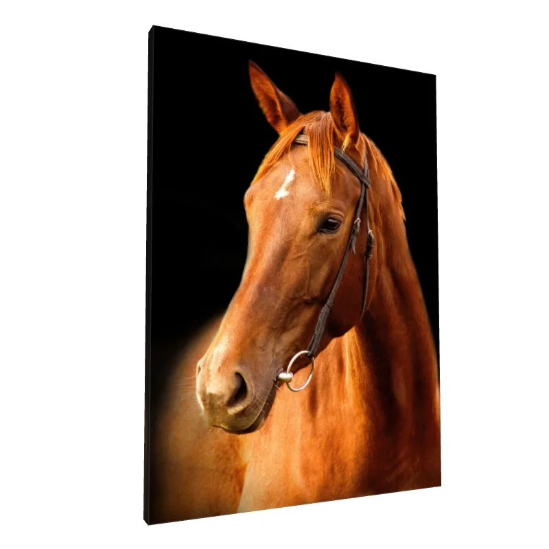 Tablou canvas: Portret Realist de Cal pe Fundal Negru 4 - Image 1