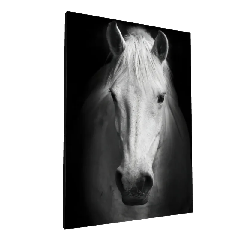 Tablou canvas: Portret de Cal Alb în Stil Realist - Image 1