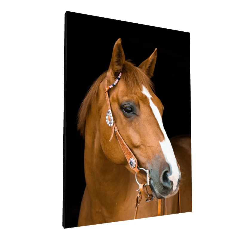 Tablou canvas: Portret Cal cu Ham Decorativ - Image 1