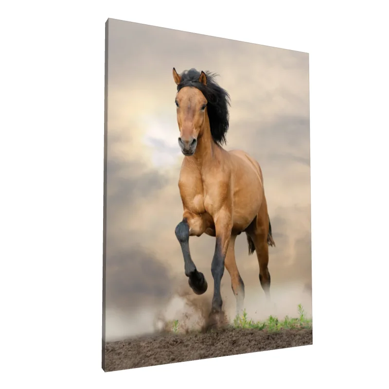 Tablou canvas: Cal În Galop pe Fundal de Cer Noros