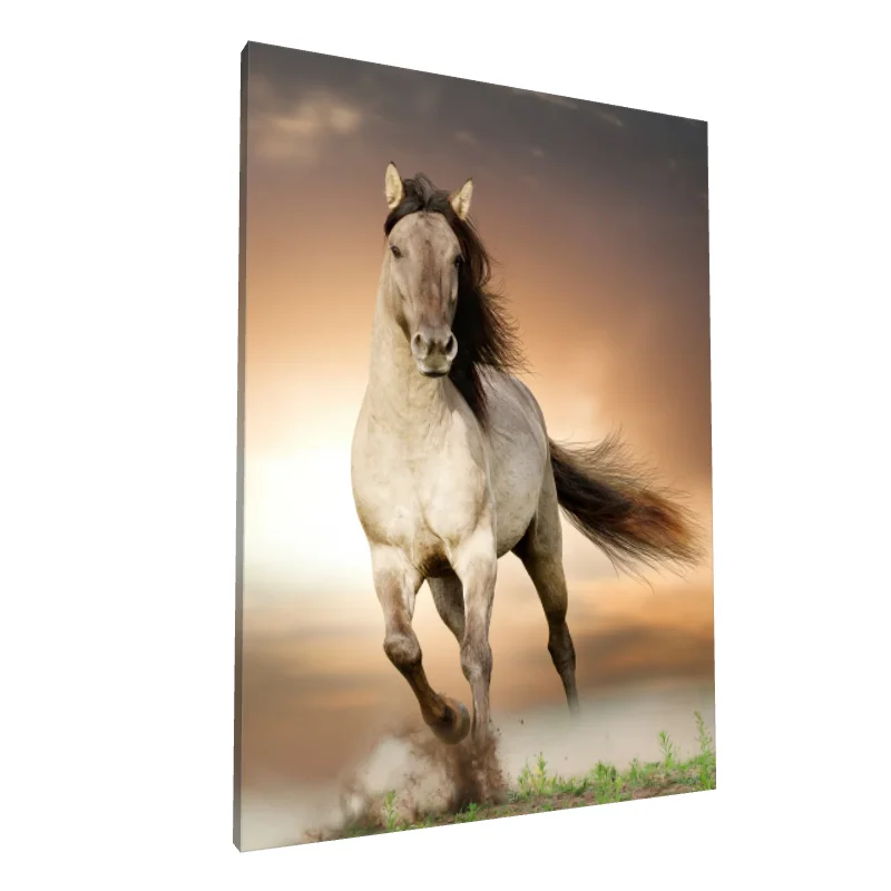 Tablou canvas: Cal în Galop la Apus - Image 1