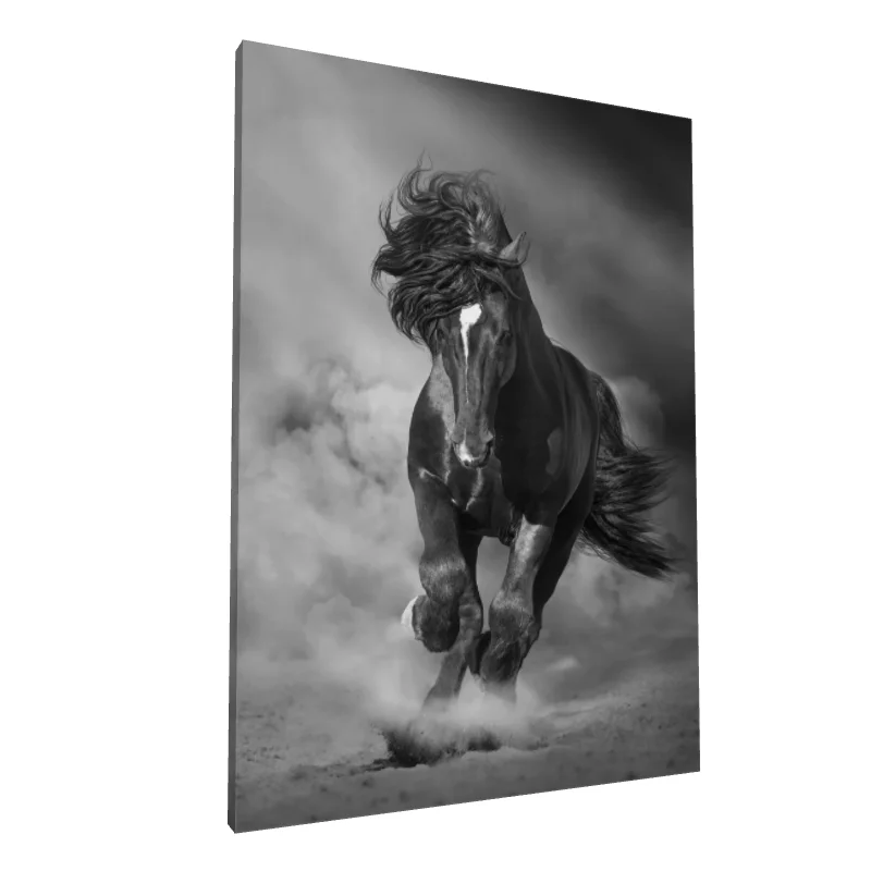 Tablou canvas: Cal Negru în Alergare Prin Nisip - Image 1