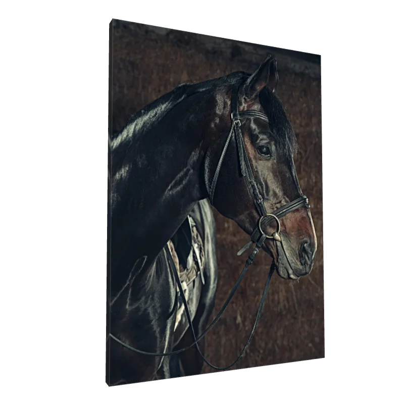 Tablou canvas: Portret Realist de Cal în Profil - Image 1