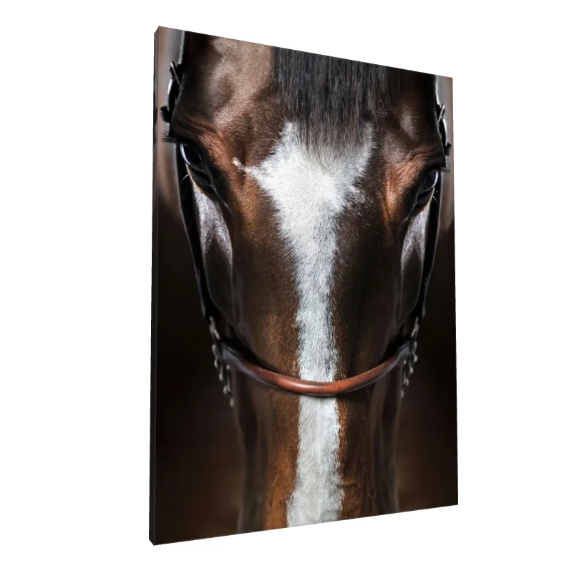 Tablou canvas: Portret Realist de Cal cu Detalii Fină