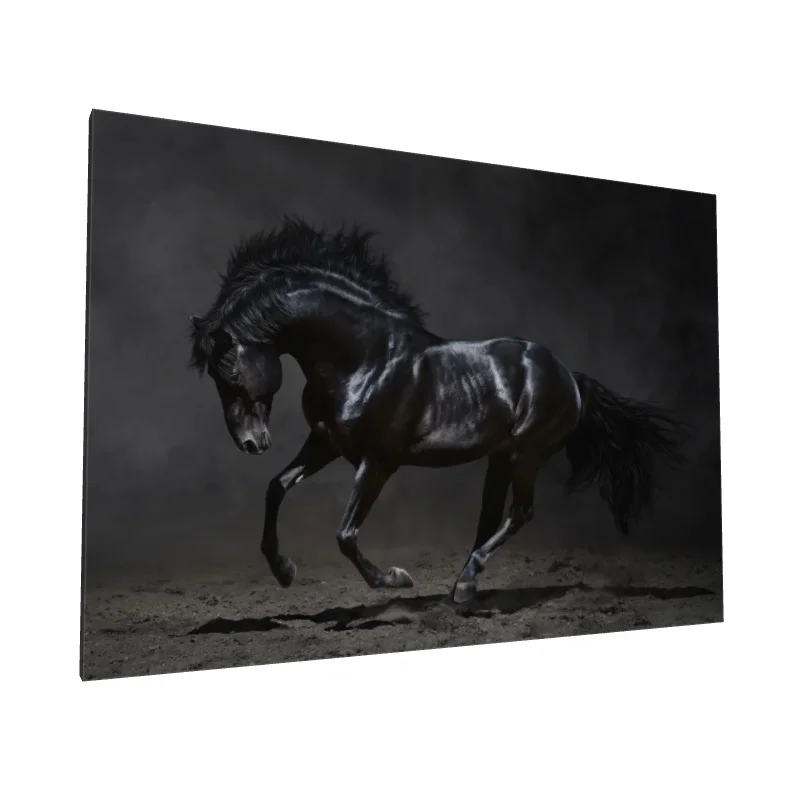 Tablou canvas: Cal Negru în Mișcare Dinamică - Image 1