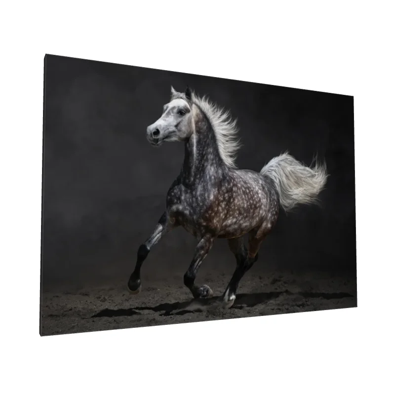 Tablou canvas: Cal În Galop pe Fundal Întunecat - Image 1