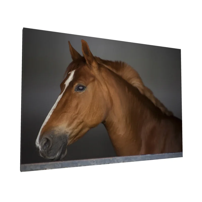 Tablou canvas: Portret Realist de Cal Maro în Profil - Image 1