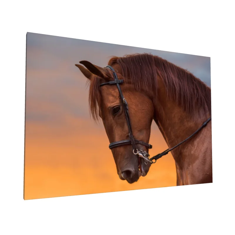 Tablou canvas: Portret Cal în Lumina Apusului - Image 1