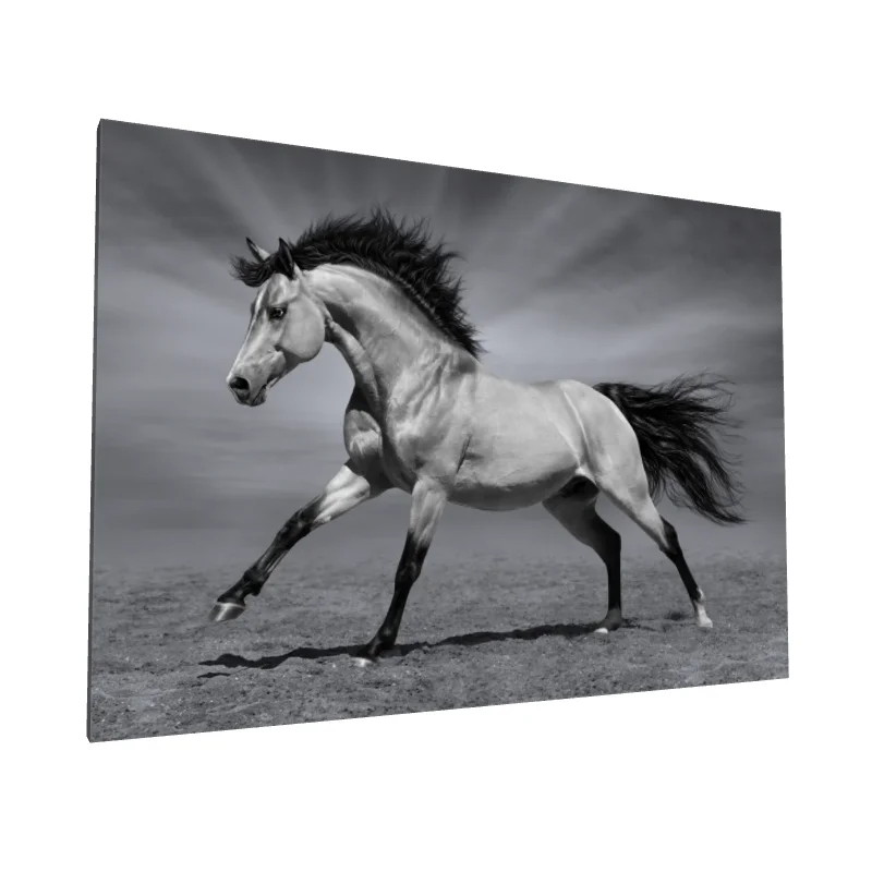 Tablou canvas: Cal în Galop pe Fundal Monocrom - Image 1