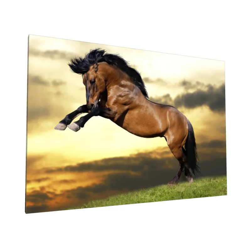 Tablou canvas: Cal Sălbatic Sărind la Apus