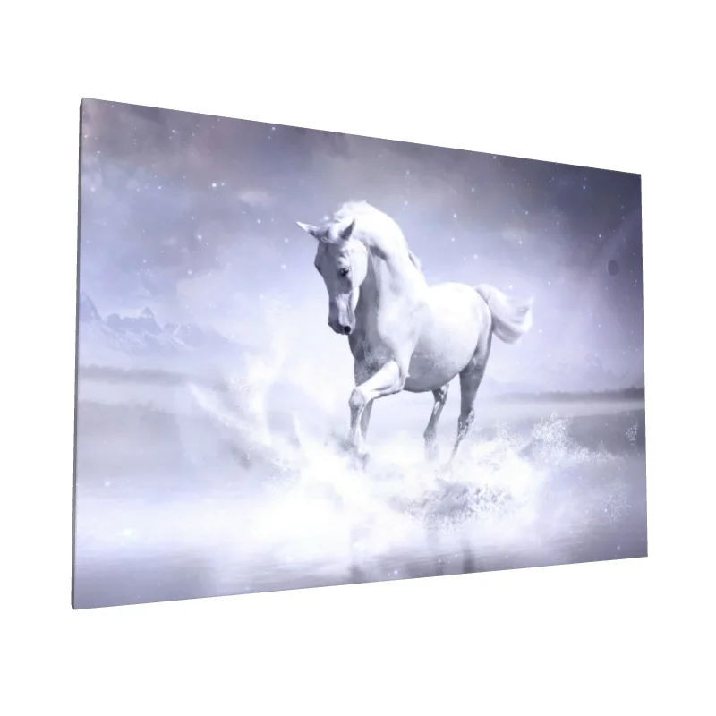 Tablou canvas: Cal Alb în Peisaj Înghețat - Image 1