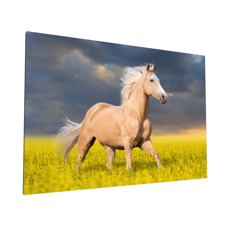 Tablou canvas: Cal Auriu în Câmp de Flori Galbene