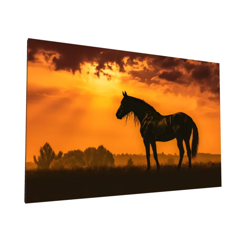 Tablou canvas: Siluetă de Cal la Apus - Image 1