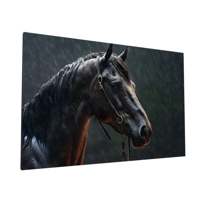 Tablou canvas: Portret Cal în Ploaie - Image 1