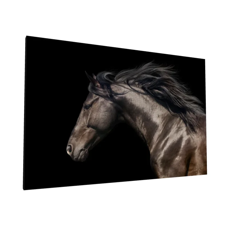 Tablou canvas: Portret Cal Nobil pe Fundal Negru