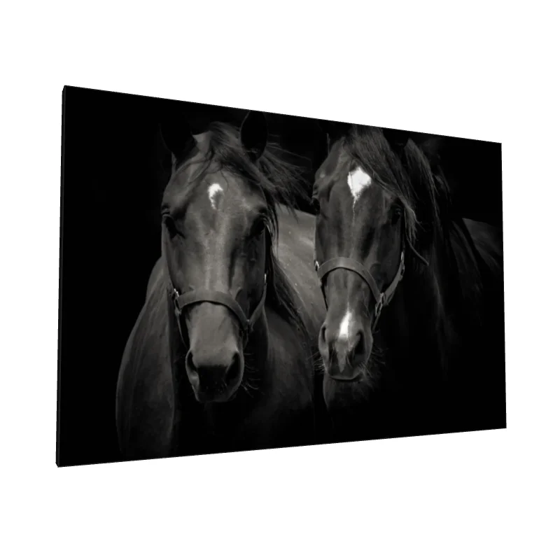 Tablou canvas: Portret de Cai în Tonuri Monocrome - Image 1