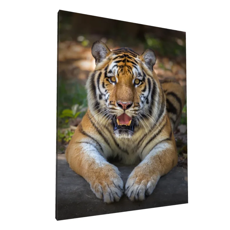 Tablou canvas: Tigru în Habital Natural - Image 1