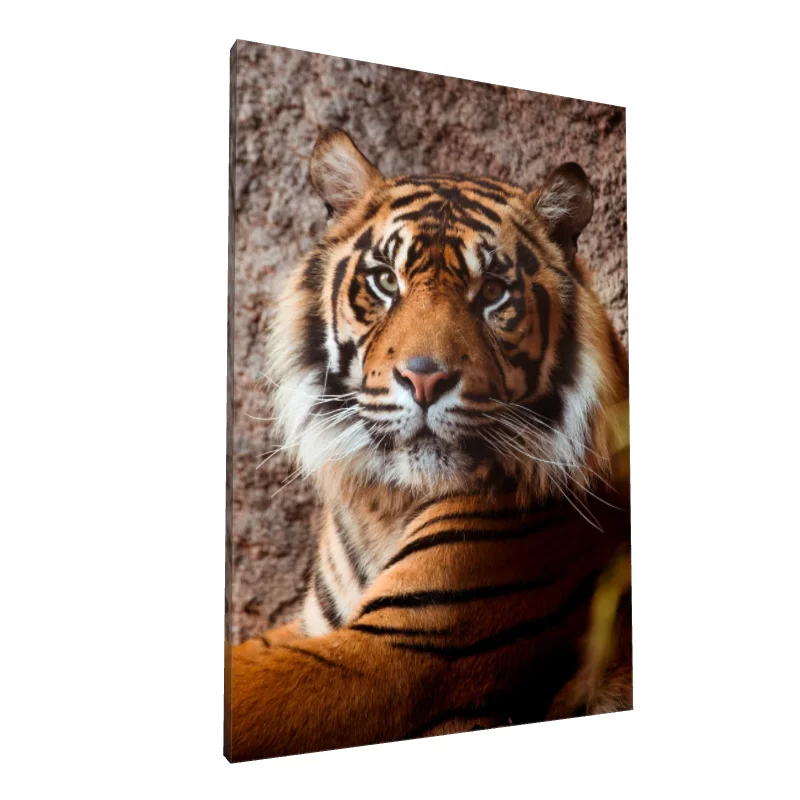 Tablou canvas: Portret Realist de Tigru Bengal - Image 1