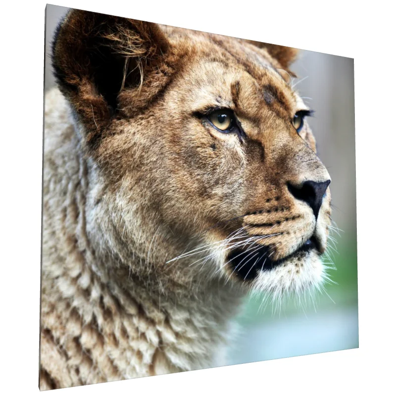 Tablou canvas: Portret de Leoaică în Detalii Realiste - Image 1