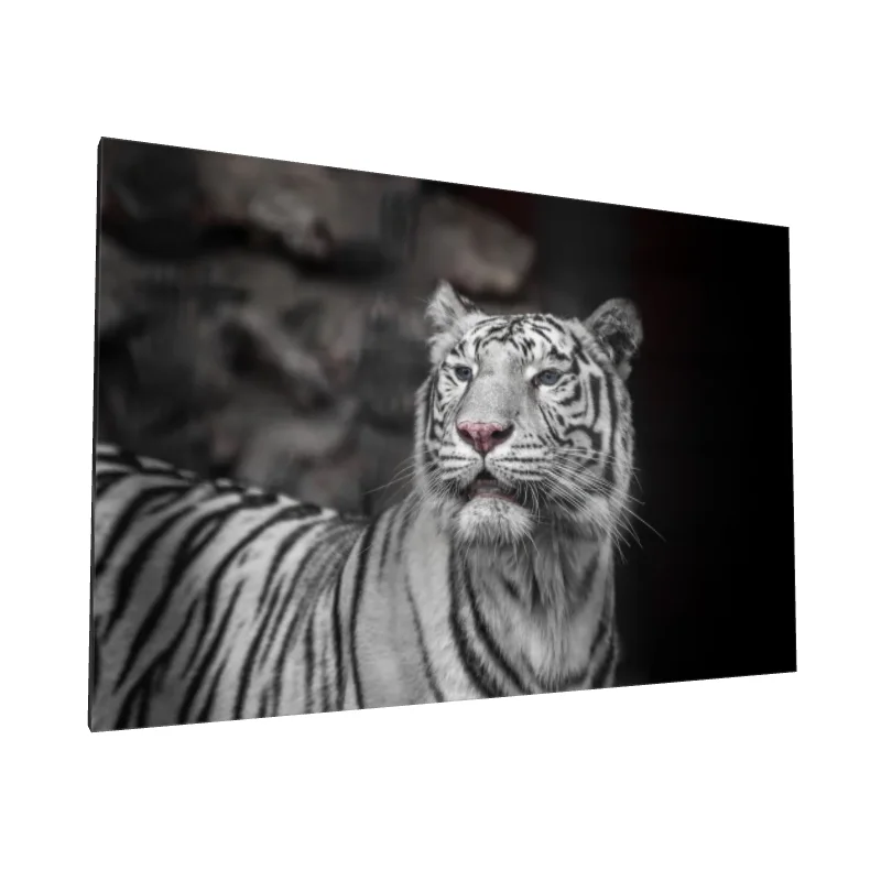 Tablou canvas: Portret de Tigru Alb în Detalii Realiste - Image 1