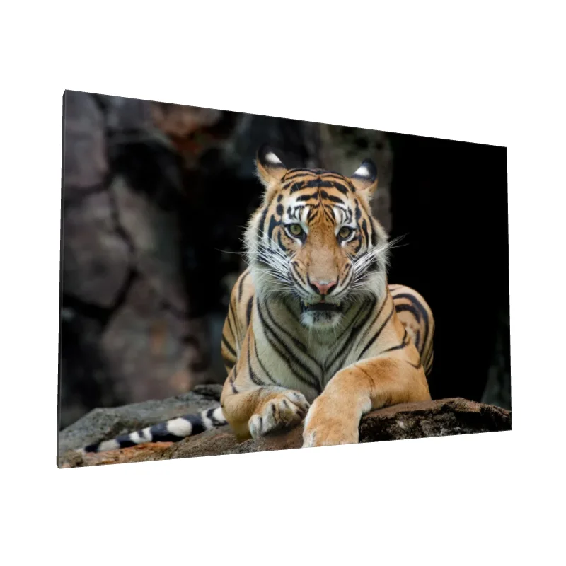 Tablou canvas: Portret de Tigru în Habitat Natural - Image 1