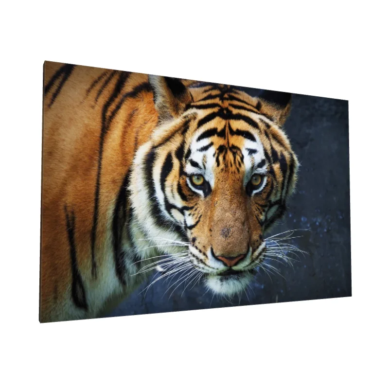 Tablou canvas: Portret de Tigru Realist în Prim-Plan - Image 1